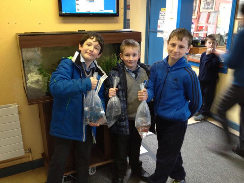 Fish Club Latest From Joshua