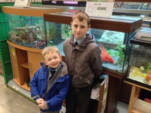 Fish Club Take Possession of New Fish Tank.  New Fish Are Next!