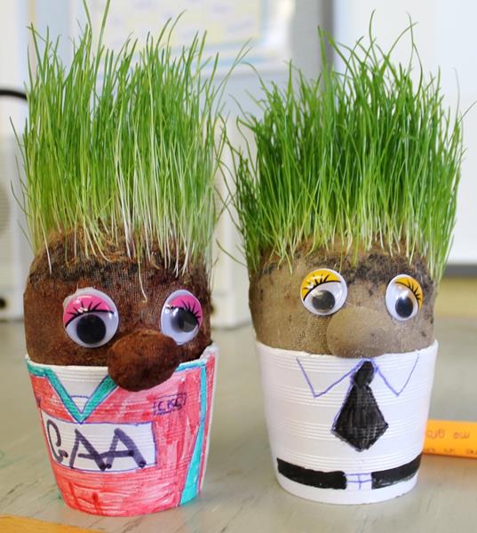 Junior Entrepreneur Programme