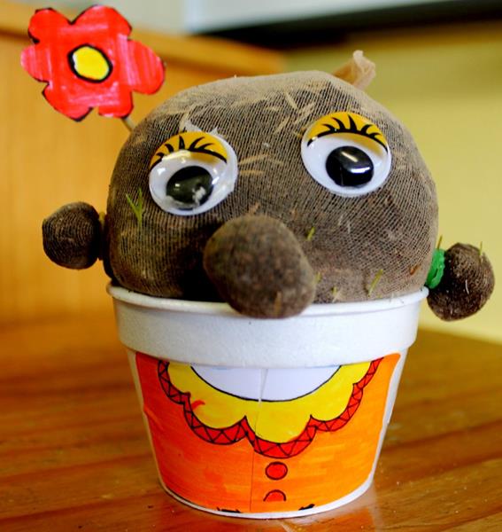 Grassy Kidz on Sale!