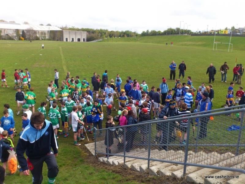 Community School Blitz